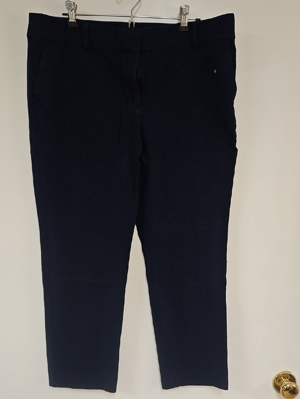 Ann Taylor Factory Navy Pants